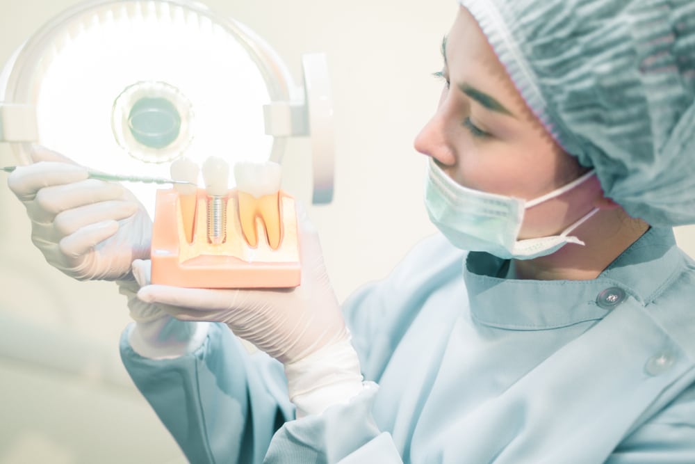 Oral surgeon holding a diorama of teeth and dental implants.
