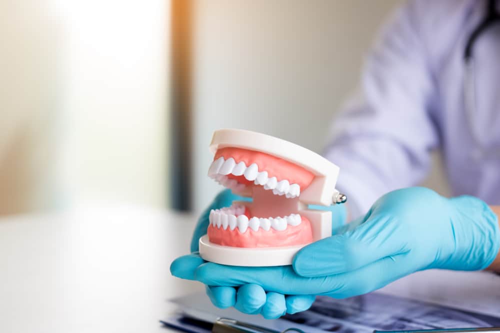 Dentist holding a model of dentures to help answer common snap-on denture questions.